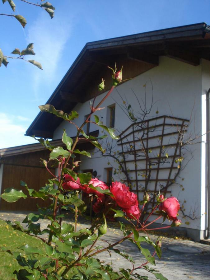 Haus Gasteig Villa Stans Eksteriør bilde